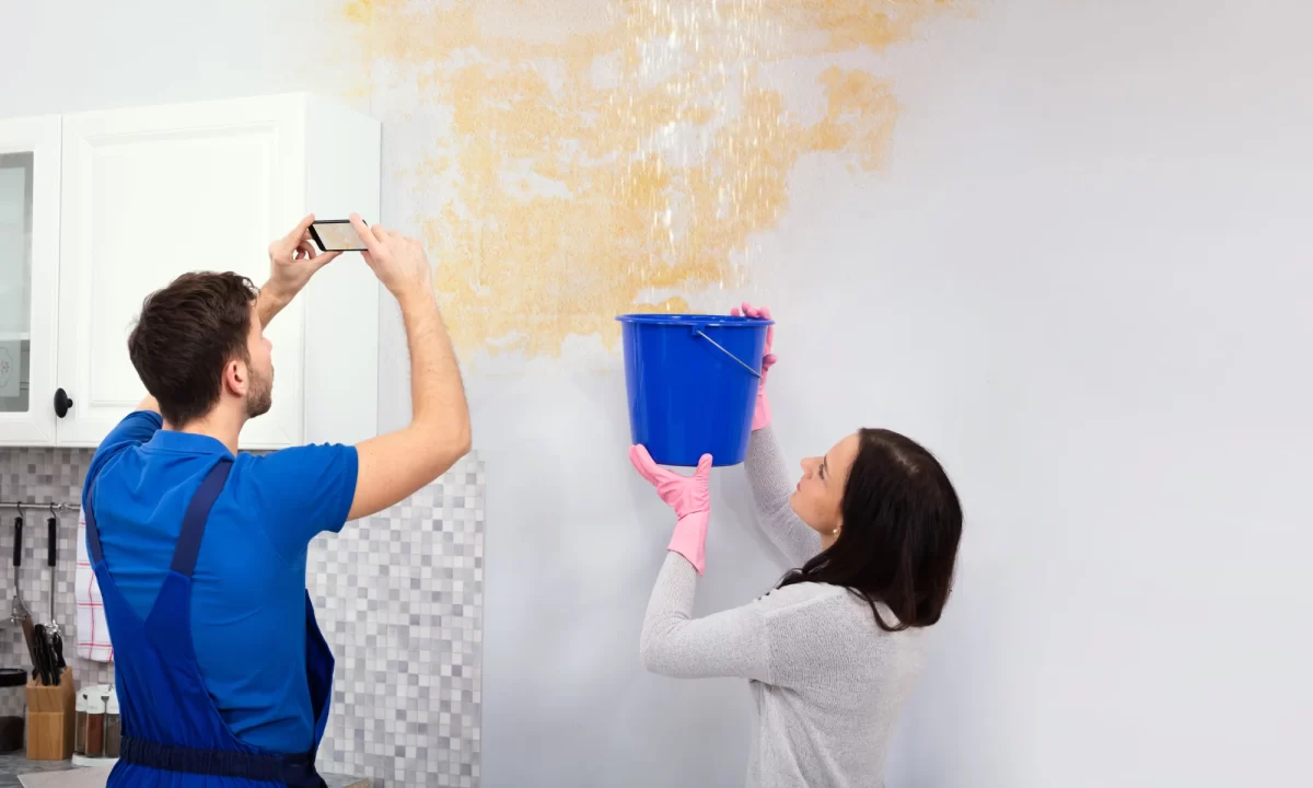 Professional Water Damage Dryout Services in Torrance