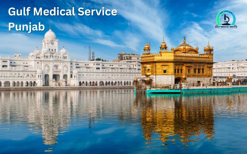 Gulf Medical Service Punjab