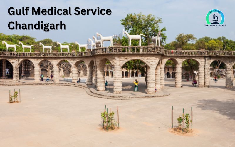 Gulf Medical Service Chandigarh